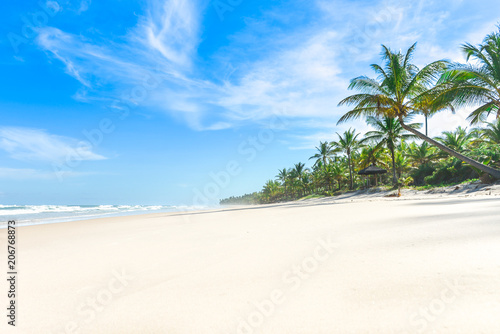 The paradise white sand beach palm trees © vbjunior