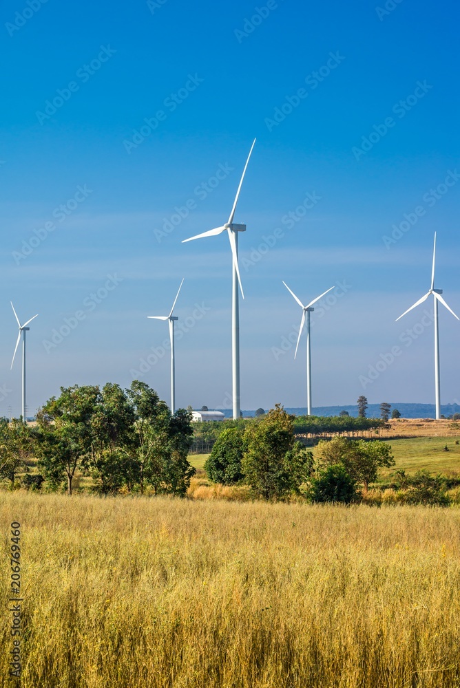 Wind turbines generating electricity with blue sky Wind turbines generating electricity with blue sky