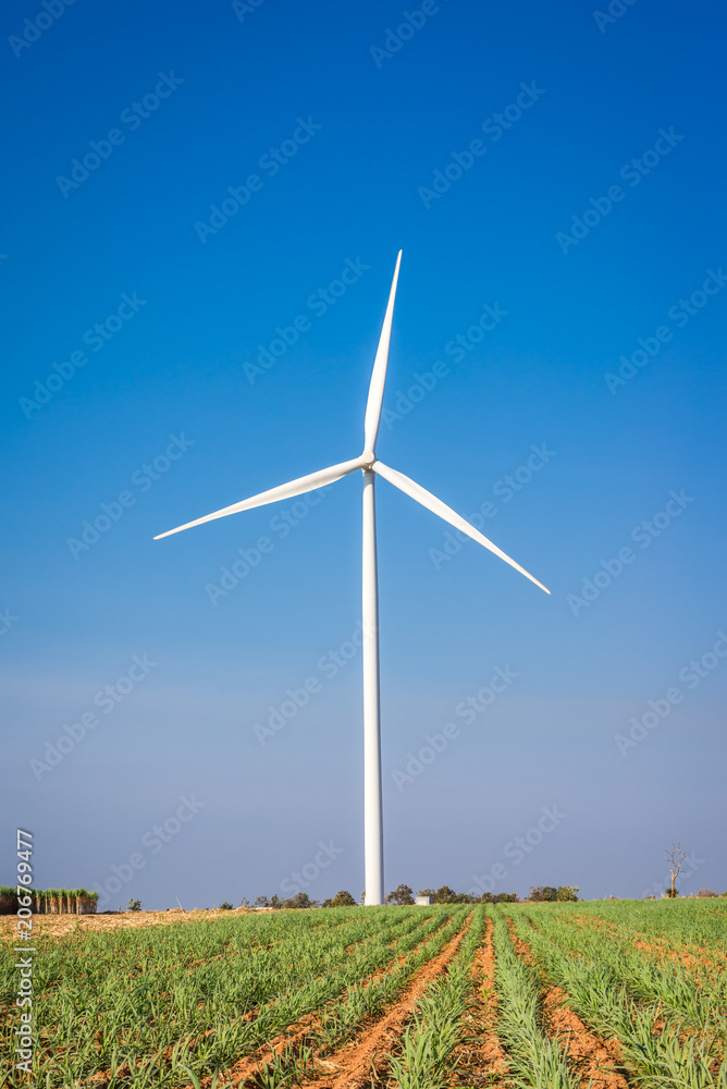 Wind turbines generating electricity with blue sky Wind turbines generating electricity with blue sky
