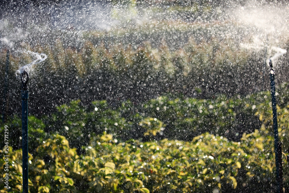 landscape of water sprinkler background.