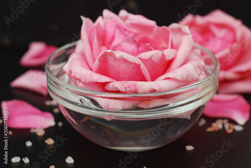 Pink Rose Flower in Soft Color  selective focus  Spa and Beauty Concept Black Background Copy space. Pink flower and Relax Salt.