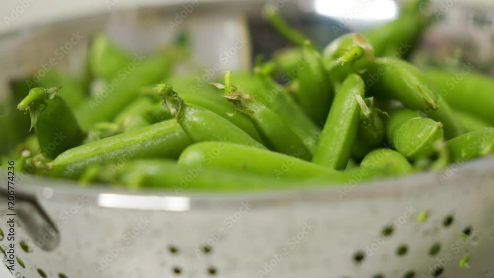 Dolly: Freshly picked green peas in colander