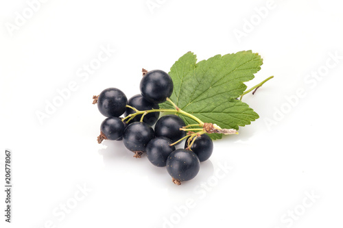 Blackcurrant in closeup isolated on white background.