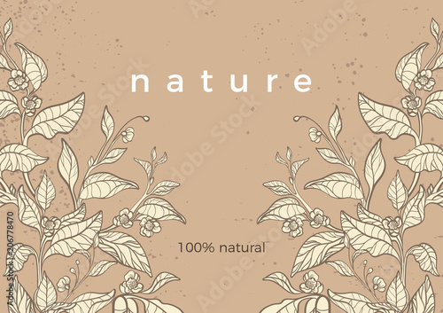 Branch of tea bush. Vector template