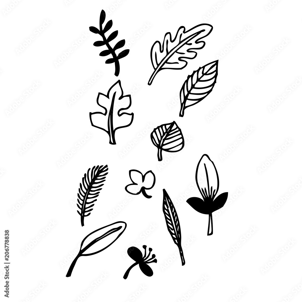 set of grunge design leaves set of grunge design leaves
