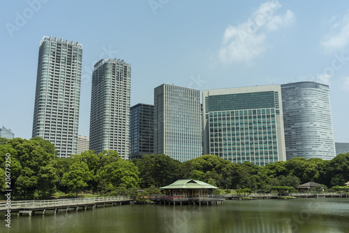 東京汐留の高層ビル群
