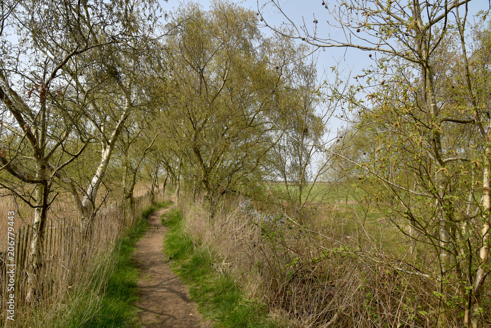 Walk by stream on Norfolk Broads near Horsey Walk by stream on Norfolk Broads near Horsey