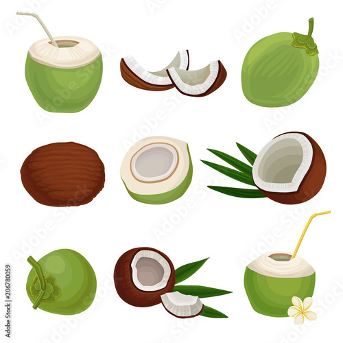 Flat vector set of fresh coconuts. Exotic cocktail. Natural and healthy food. Tropical fruit. Elements for product packaging or poster