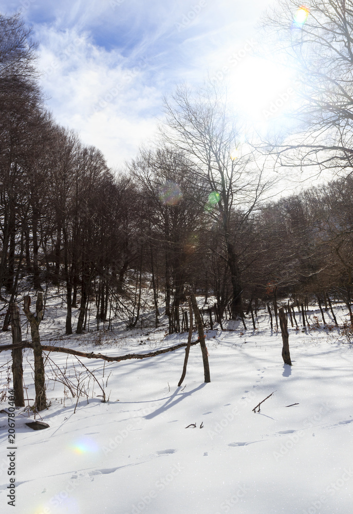 pathway mountain landscape with snow pathway mountain landscape with snow