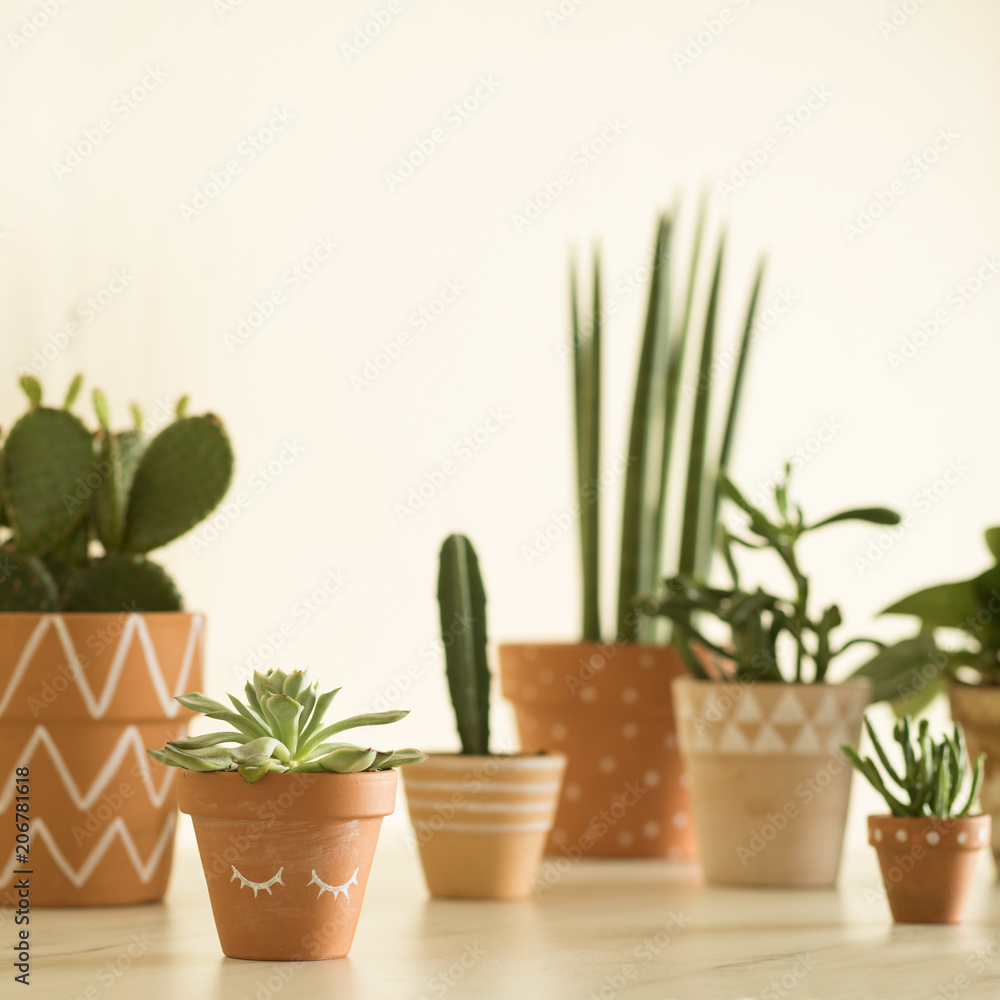 Stylish compostion of home garden filled a lot of cacti, succulent and plant in different red clay pots on marble  table.