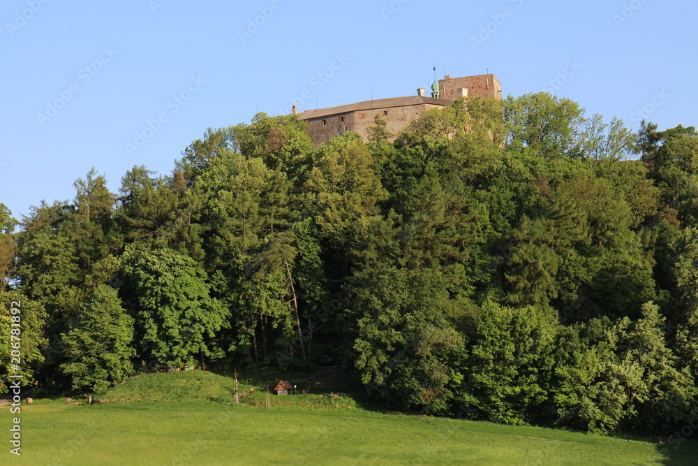 View to Buchlov castle, Czech republic 