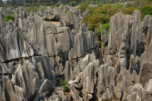  Stone forest national park in Yunnan province, China   photo