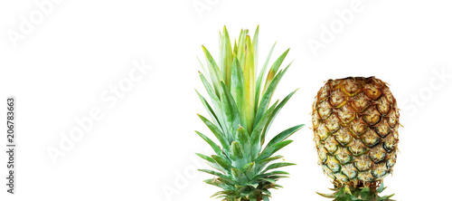 Pineapple on white background.