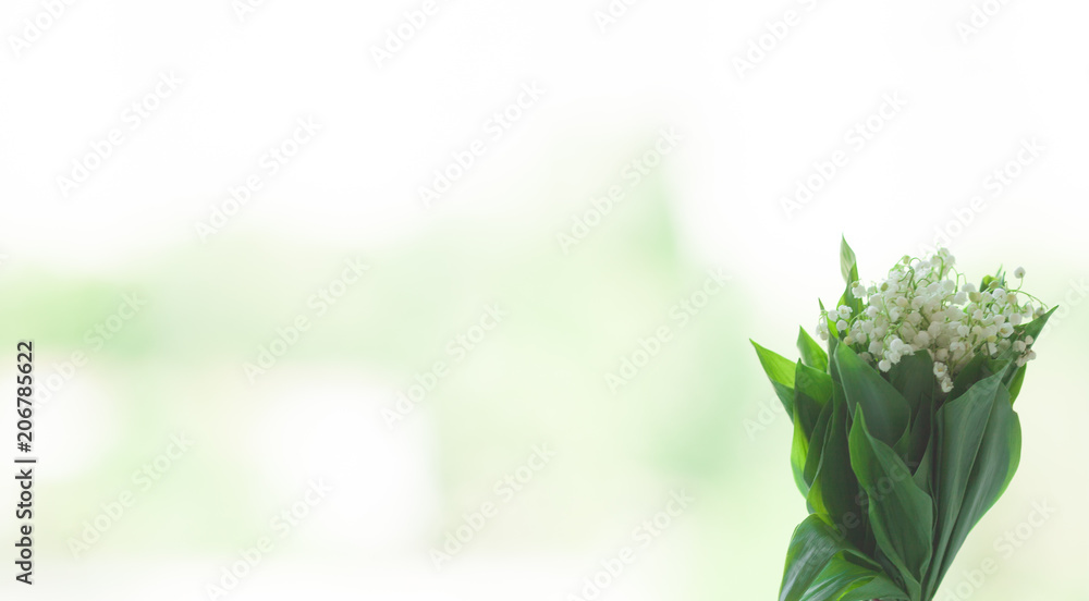 Fototapeta premium Lily of the valley (lat. Convallaria majalis) on window background