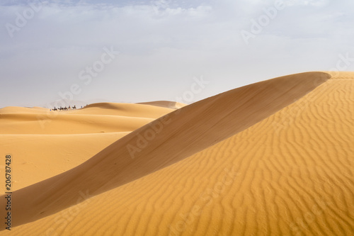 orange dune with riding caravan in Sahara desert in Morocco