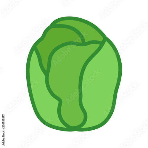 Brussels sprouts vegetable buds flat vector color icon for food apps and websites