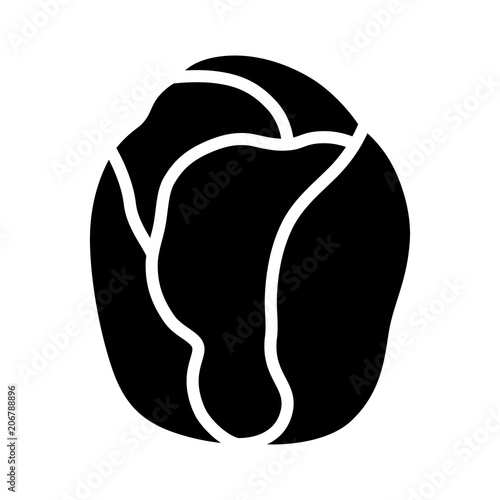 Brussels sprouts vegetable buds flat vector icon for food apps and websites