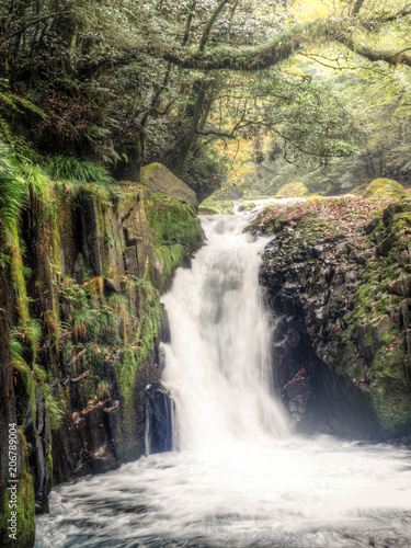 Kikuchi valley waterfall  in autumn  at Aso  Japan    