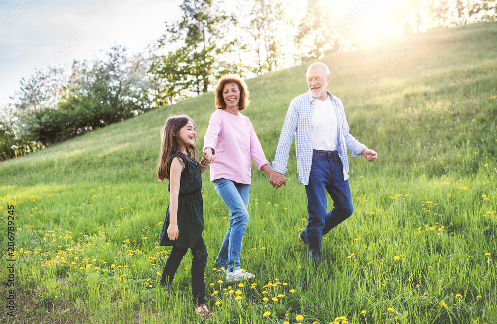 Senior couple with grandaughter outside in spring nature, walking. Senior couple with grandaughter outside in spring nature, walking.