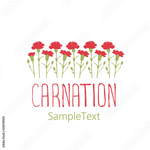Carnation flowers. Logo design. Text hand drawn. Isolated on white background
