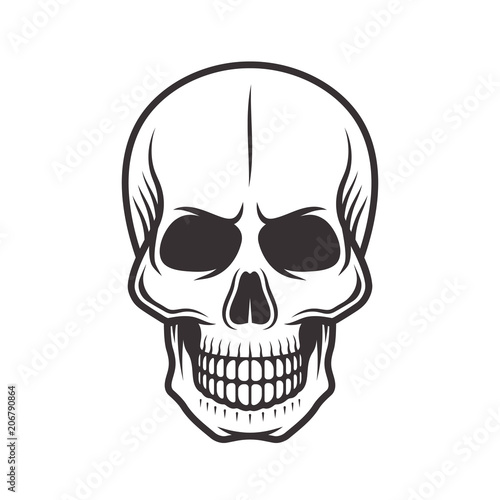 Human skull monochrome style vector illustration