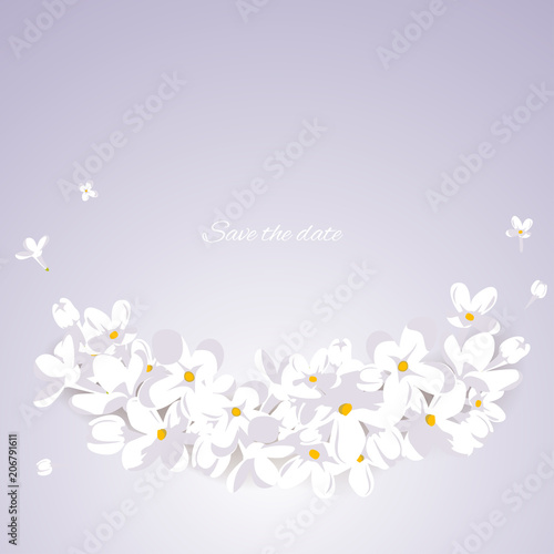 White flowers. Border. Floral background. Flying petals.
