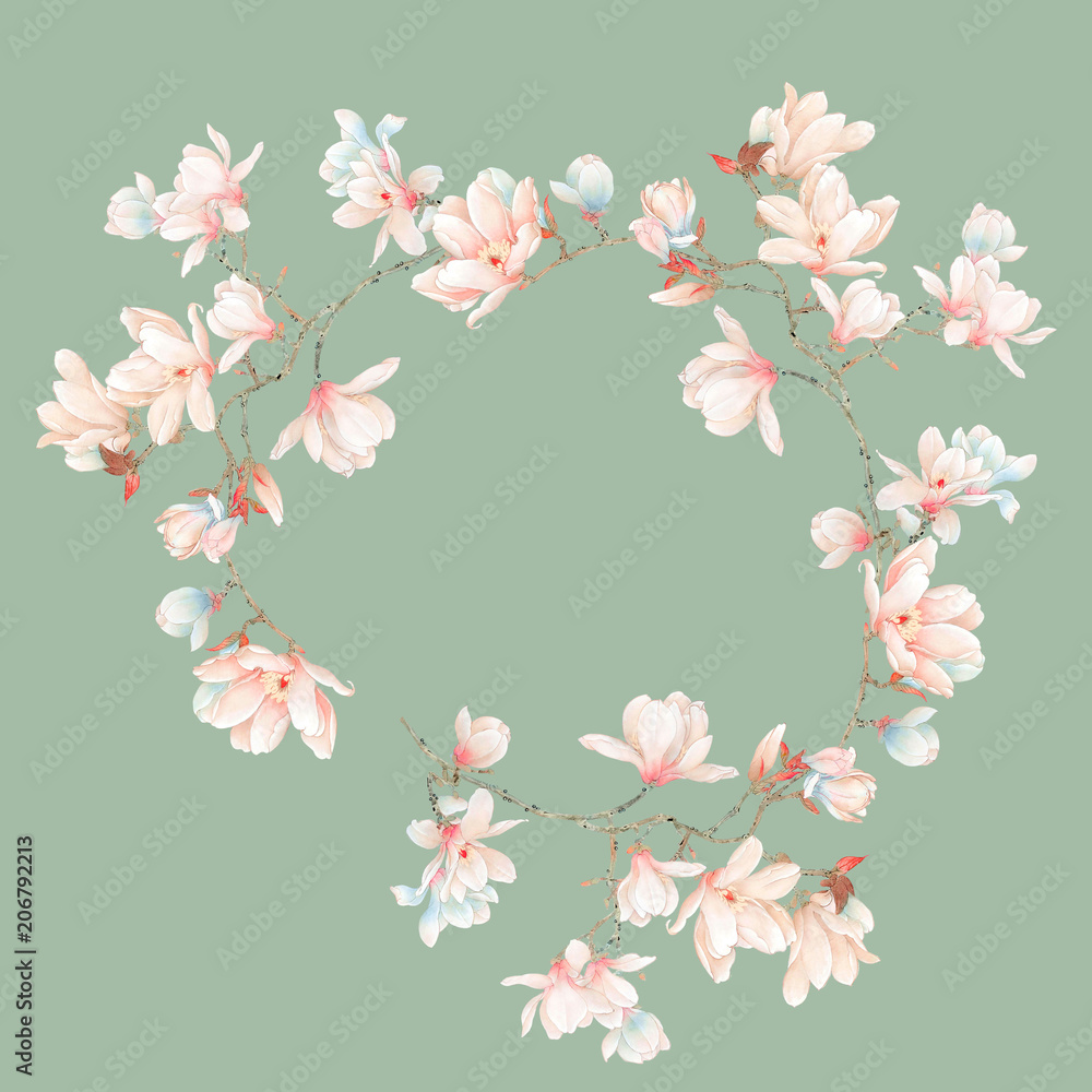 Watercolor magnolia flowers and branches Watercolor magnolia flowers and branches