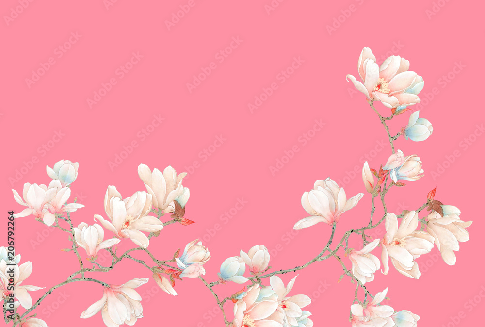 Watercolor magnolia flowers and branches Watercolor magnolia flowers and branches