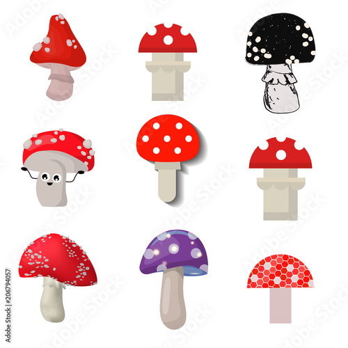 Vector amanita mushrooms dangerous set poisonous season toxic fungus food illustration.