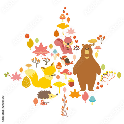 Autumn Nature