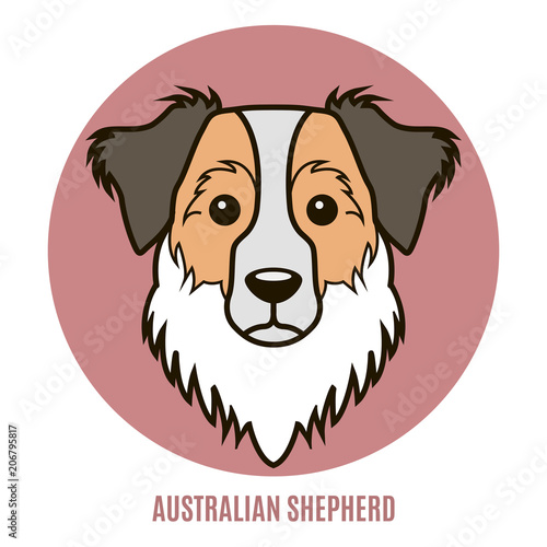 Portrait of Australian Shepherd. Vector illustration