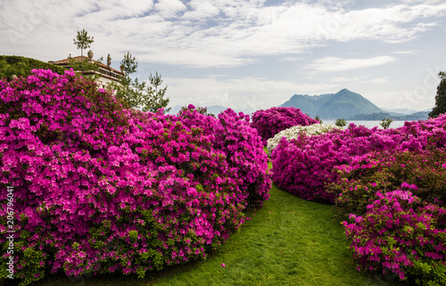 Fototapeta Naklejka Na Ścianę i Meble -  Lago Maggiore, Isola Bella island park in Lombardy, Italy