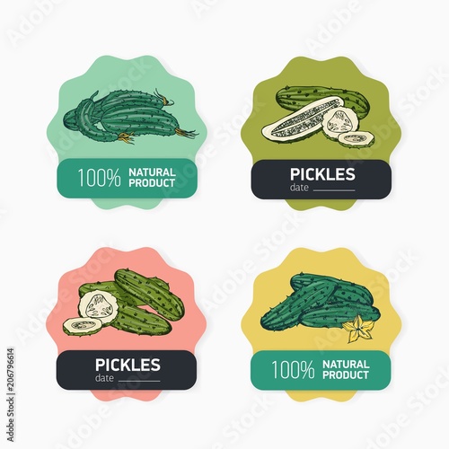 Collection of label or sticker templates with delicious whole and sliced fresh and pickled cucumbers. Hand drawn natural organic vegetables. Vector illustration for farm agricultural products.