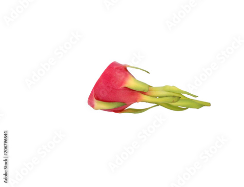 Dragon fruit half single white