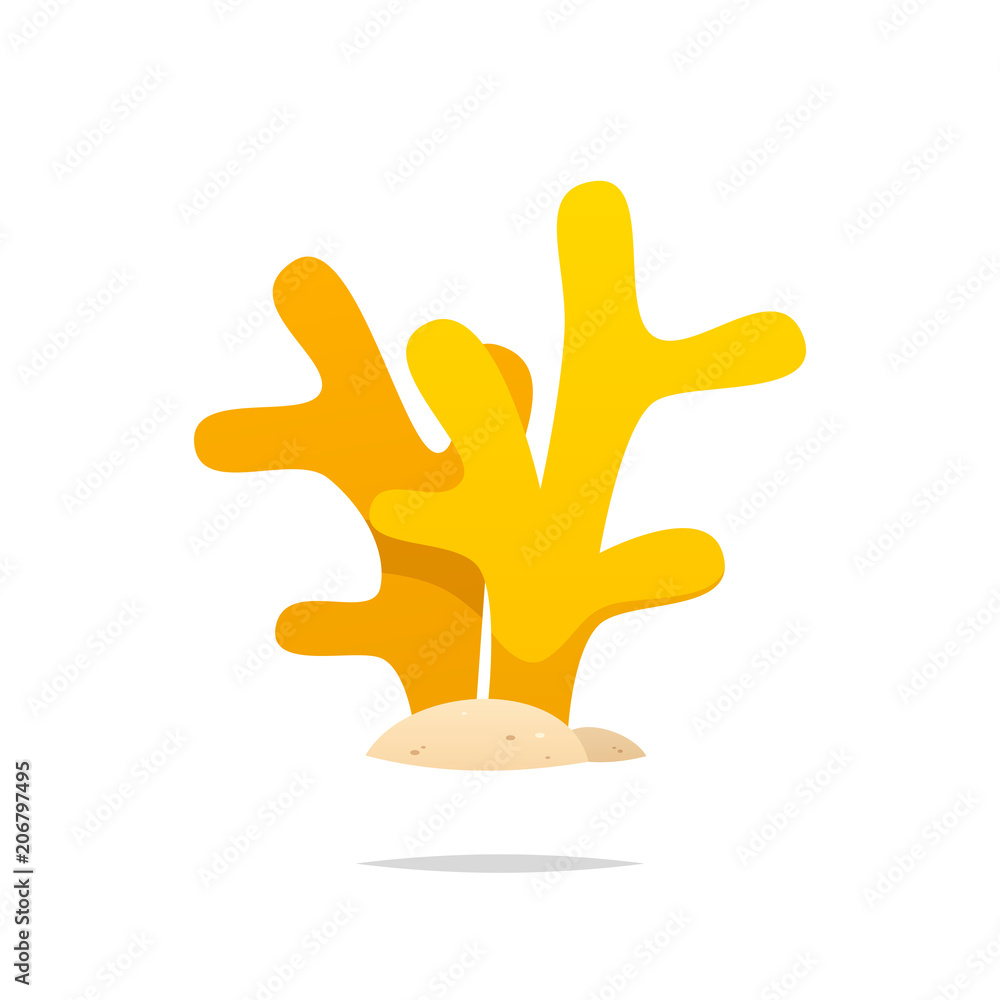 Obraz premium Yellow coral vector isolated