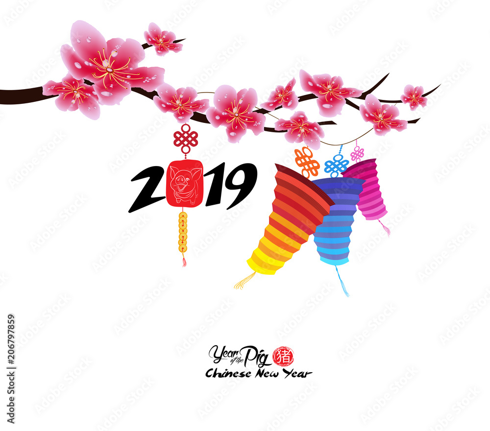 Classic Chinese new year blossom and lantern background. Year of the pig. Chinese character hieroglyph Pig