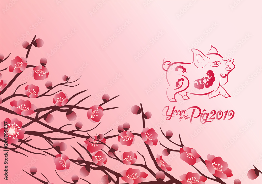 Chinese new year's 2019 decoration for blossom spring festival