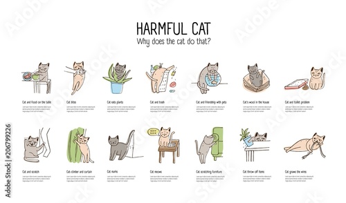 Horizontal banner with naughty cat doing various things - stealing food, scratching furniture, gnawing wires, throwing off items. Bad behavior of domestic animal or pet. Colorful vector illustration.