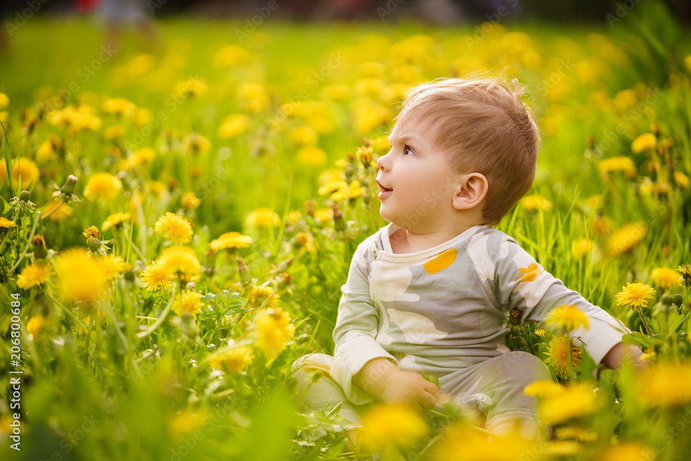 Concept: family values. Portrait of adorable innocent funny brown-eyed baby playing outdoor in the sunny dandelions field. Concept: family values. Portrait of adorable innocent funny brown-eyed baby playing outdoor in the sunny dandelions field.