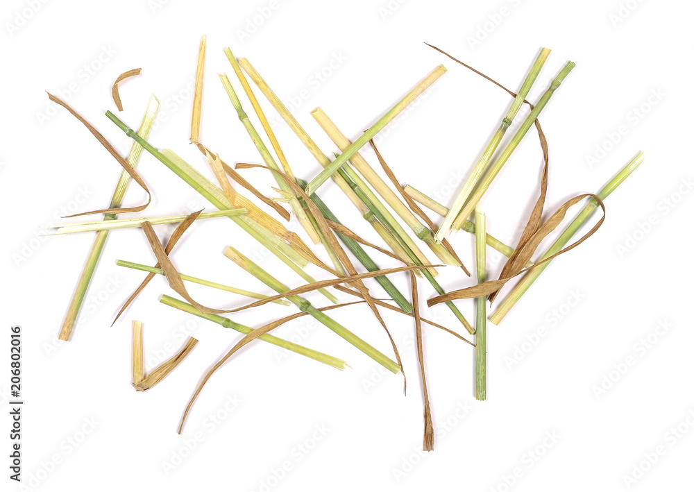 Straw pile isolated on white background and texture, top view Straw pile isolated on white background and texture, top view