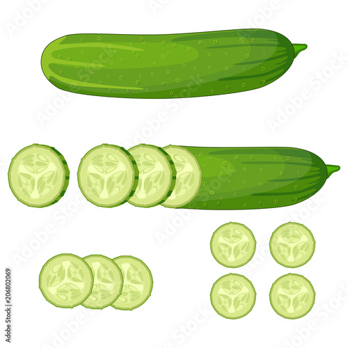 Fresh green cucumber slice