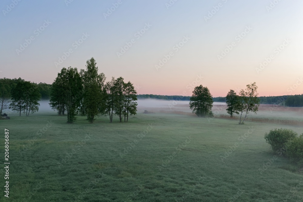 Fototapeta premium Landscape in the Bialowieza National Park in Poland at the early morning