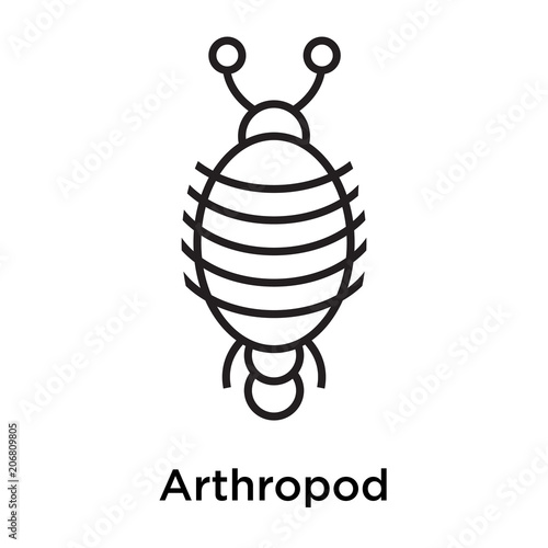 Arthropod icon vector sign and symbol isolated on white background