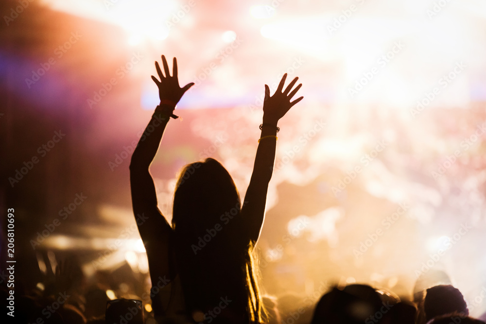 Picture of party people at music festival Picture of party people at music festival