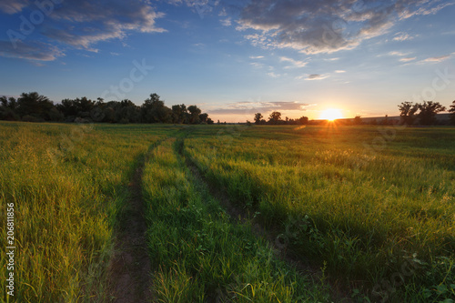 Volgograd Oblast, Russia. The road in field. Green grass. Sunset light. The sun goes beyond the horizon. Blue sky and clouds. In the background trees. Landscape in the countryside