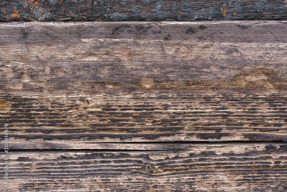 The texture of the old charred boards The texture of the old charred boards