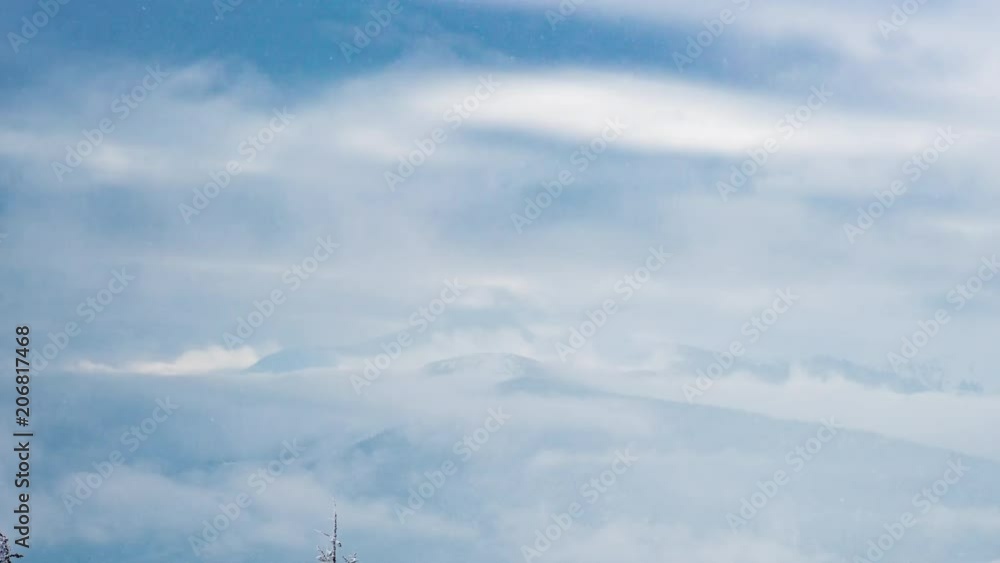 Beautiful mountain day, cloudy winter fir-tree Beautiful mountain day, cloudy winter fir-tree