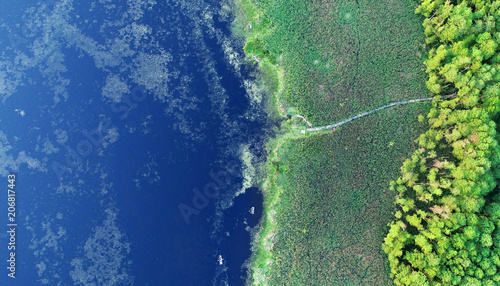 Fototapeta Naklejka Na Ścianę i Meble -  Aerial landscape - lake shoreline