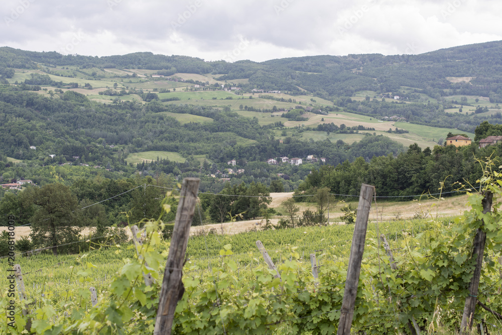 Paesaggi a Scrivellano di Travo (PC)