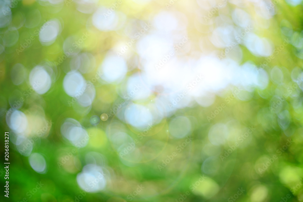 Green defocused abstract background with bokeh circles